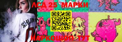 мяу мяу мука Ачхой-Мартан