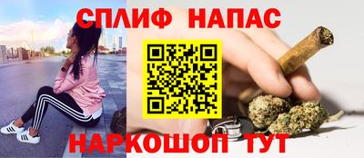 мяу мяу мука Ачхой-Мартан
