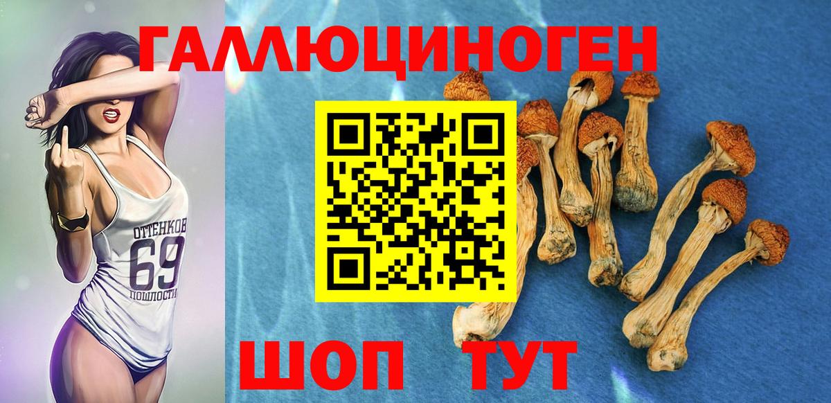 Галлюциногенные грибы мухоморы  как найти   Красный Сулин  Вход с VPN 