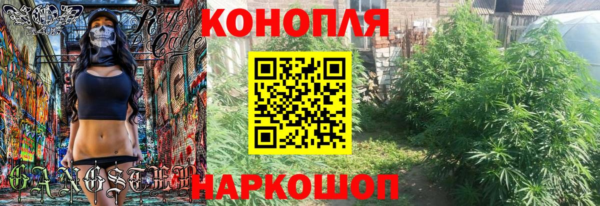 Бошки Шишки ГИДРОПОН Красный Сулин